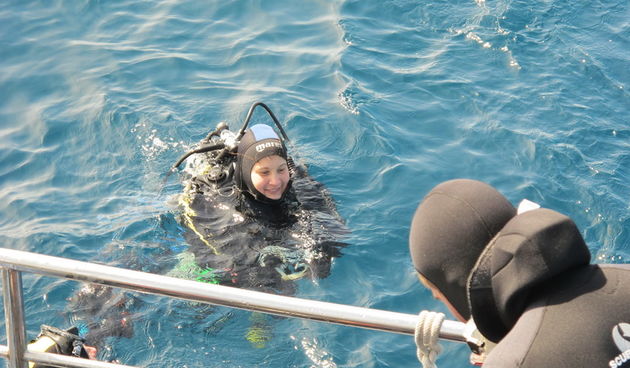 U nedjelju je organiziran edukativni zaron kojim se ronioci volonteri vode na upoznavanje s ljepotama jadranskog podmorja, uz mentore ronilačkog kluba “Sv. Roko” iz Bibinja