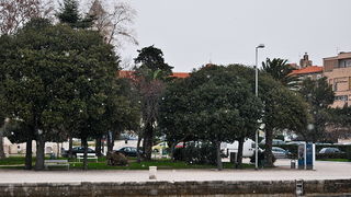 Bura i snijeg u Zadru 1. veljače 2012, Foto: Duje Surać