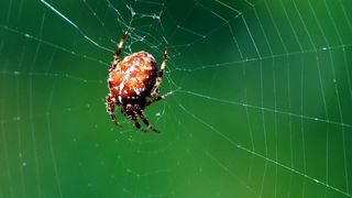 NP Plitvička jezera, listopad 2021.