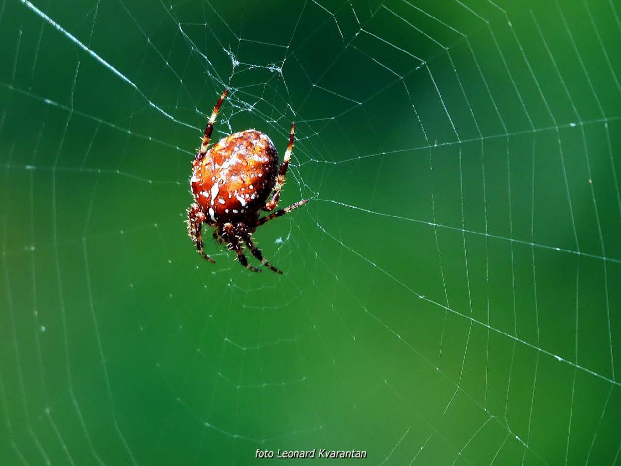 NP Plitvička jezera, listopad 2021.