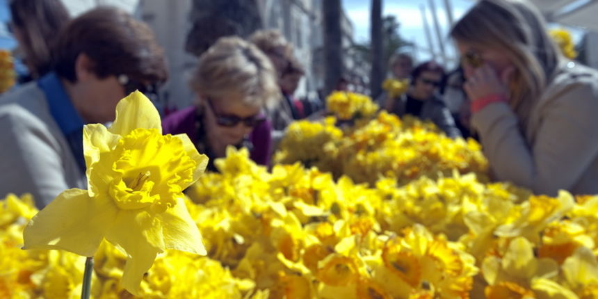 Split, 230313.
Humanitarna akcija Dan narcisa odrzati ce se vec 18. put zaredom u vise od 30 gradova diljem Hrvatske. Na makarskoj je rivi organizirano je prikupljanje sredstava za borbu protiv te zlocudne bolesti te su dijeljeni cvijetovi narcisa i promo Split, 230313.
Humanitarna akcija Dan narcisa odrzati ce se vec 18. put zaredom u vise od 30 gradova diljem Hrvatske. Na makarskoj je rivi organizirano je prikupljanje sredstava za borbu protiv te zlocudne bolesti te su dijeljeni cvijetovi narcisa i promo