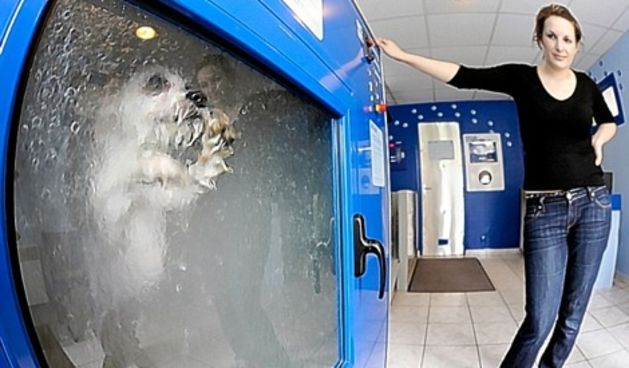 stroj za pranje pasa