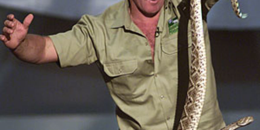 steve irwin (foto: abc.net.au) steve irwin (foto: abc.net.au)