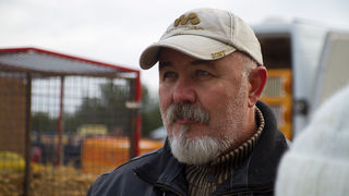 Tradicionalni Benkovački sajam, foto: Darko Belančić