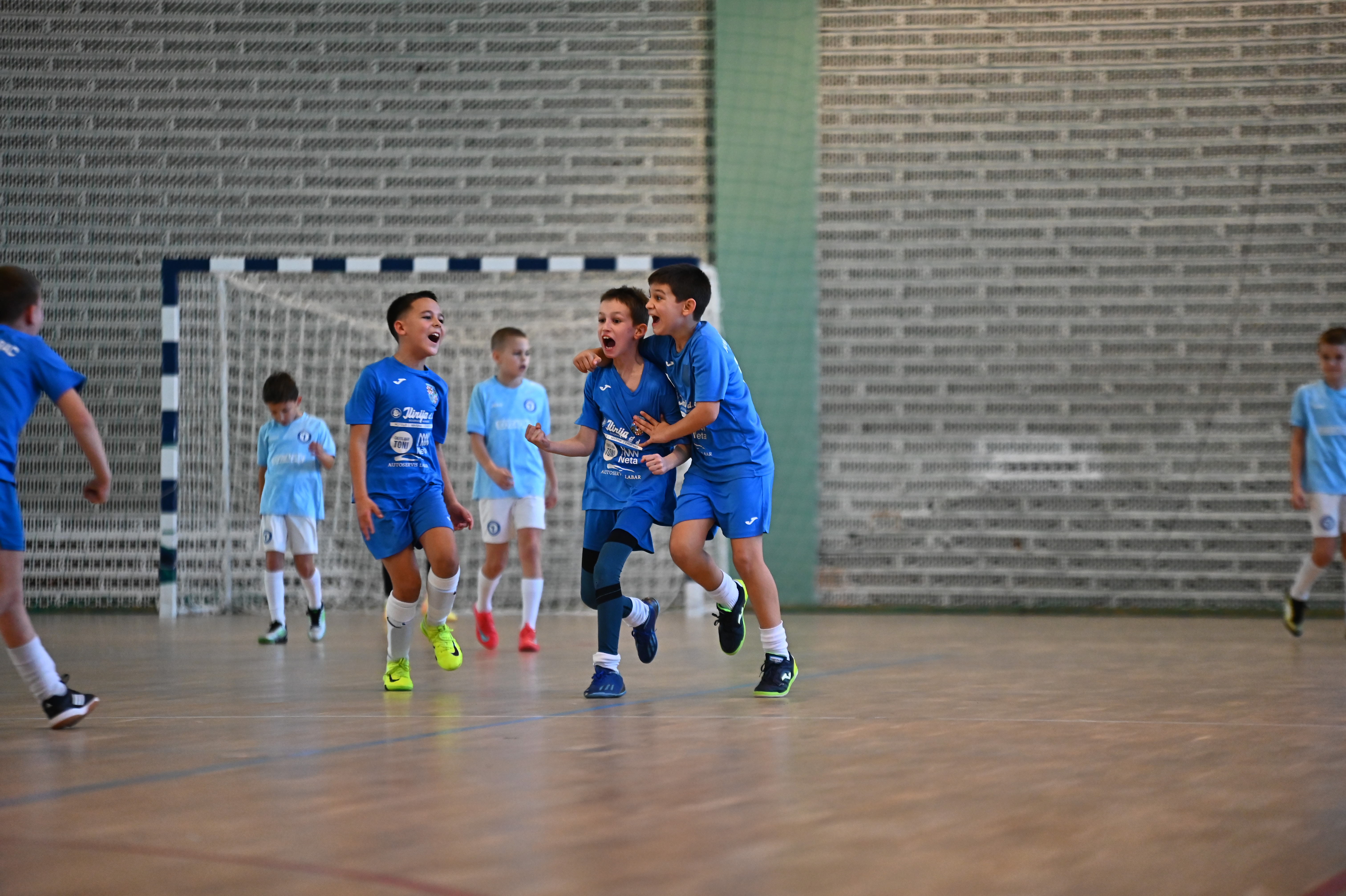 Cataleya Indoor Cup Cataleya Indoor Cup