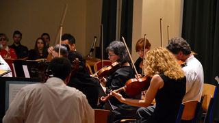 Pavle Dešpalj i Zadarski komorni orkestar