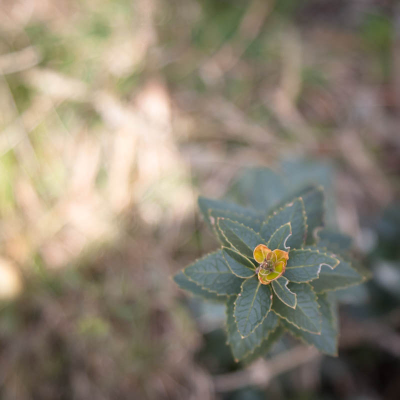 Šetnjica poučnom stazom sv. Leopolda Mandića, Mosor, foto: Darko Belančić