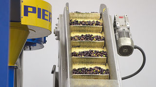 Večer u uljari, Foto: Leo Banić