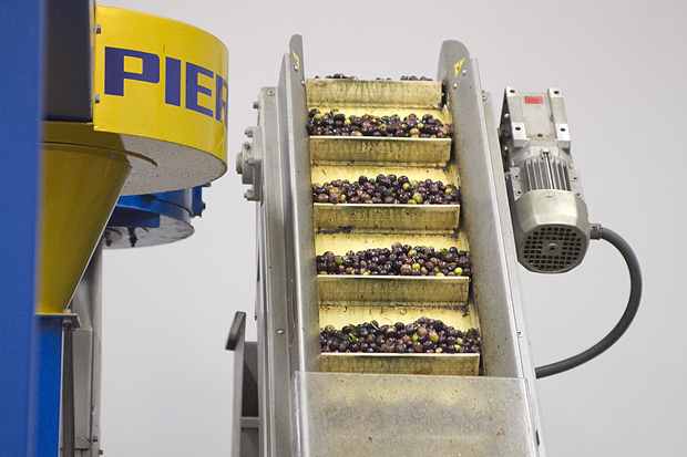 Večer u uljari, Foto: Leo Banić