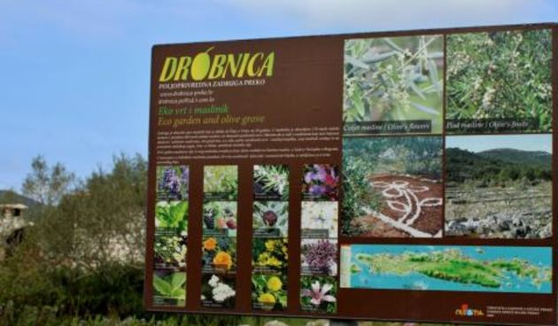 PZ Drobnica Preko, Foto: Naši školji