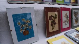 Sv. Filip i Jakov – 10. Dani cvijeća, 24. i 25. travnja 2010. (Foto: Vedran Penga)