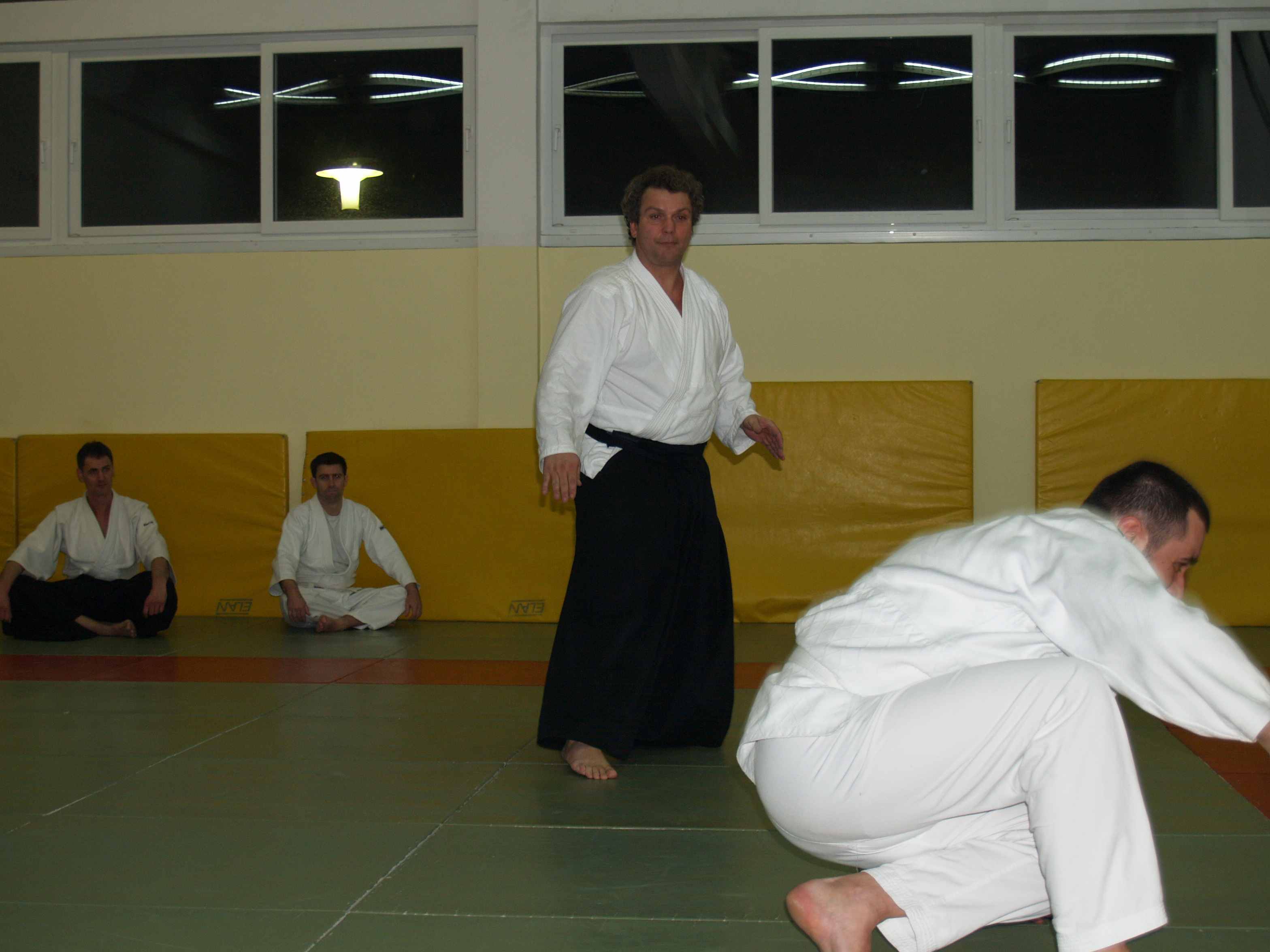 Aikido, seminar Alesa Leskovseka u AK Donat