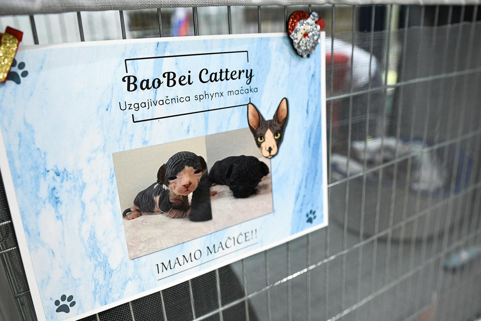 Međunarodna izložba mačaka