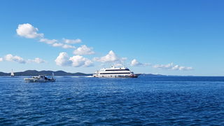 Zadarska Koka 2016. 22. listopada 2016. Foto: Mladen Malik Zadarska Koka 2016. 22. listopada 2016. Foto: Mladen Malik