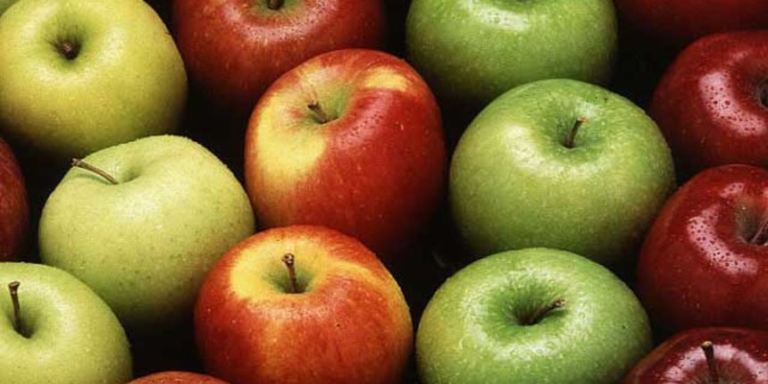 Jabuke (Foto: herdaily.com)