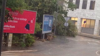 Srušeno stablo na Relji