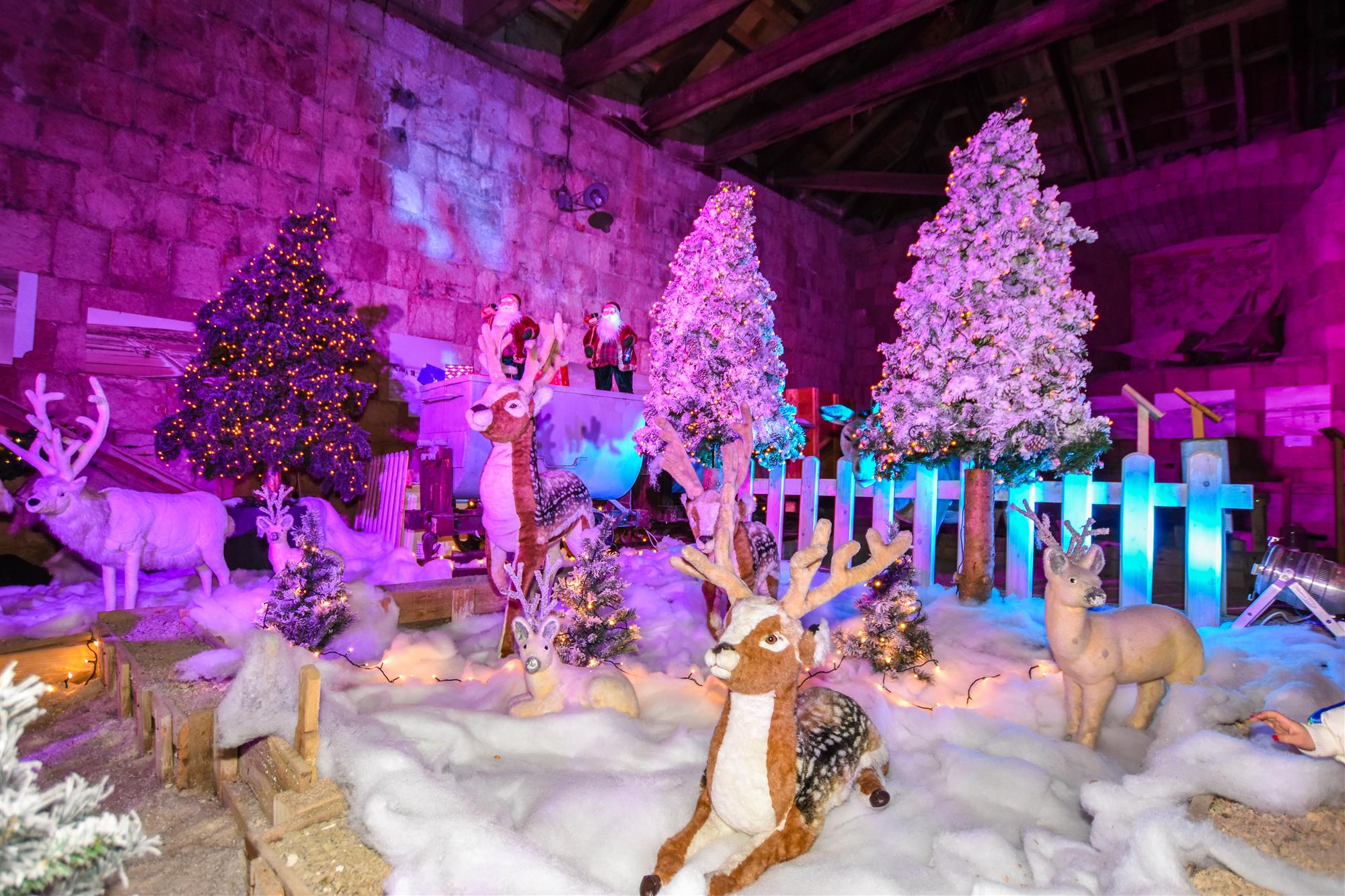 Advent 2018.: Otvoreno prvo klizalište u Pagu