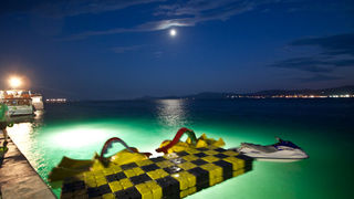 Biograd na Moru: 3. Morska alga, Foto: Franjo Jurić