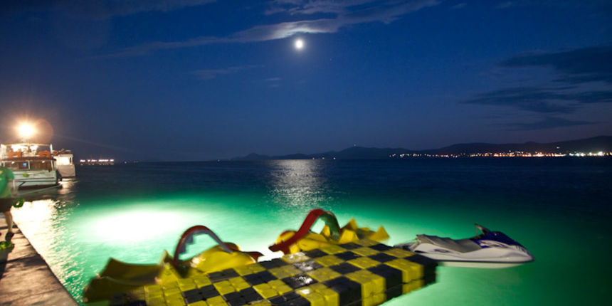 Biograd na Moru: 3. Morska alga, Foto: Franjo Jurić