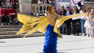 Đir po gradu 29. travnja 2017.