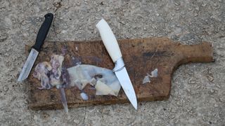 Mladi virski šampioni u udičarenju u emisiji HRT-a “More” Mladi virski šampioni u udičarenju u emisiji HRT-a “More”