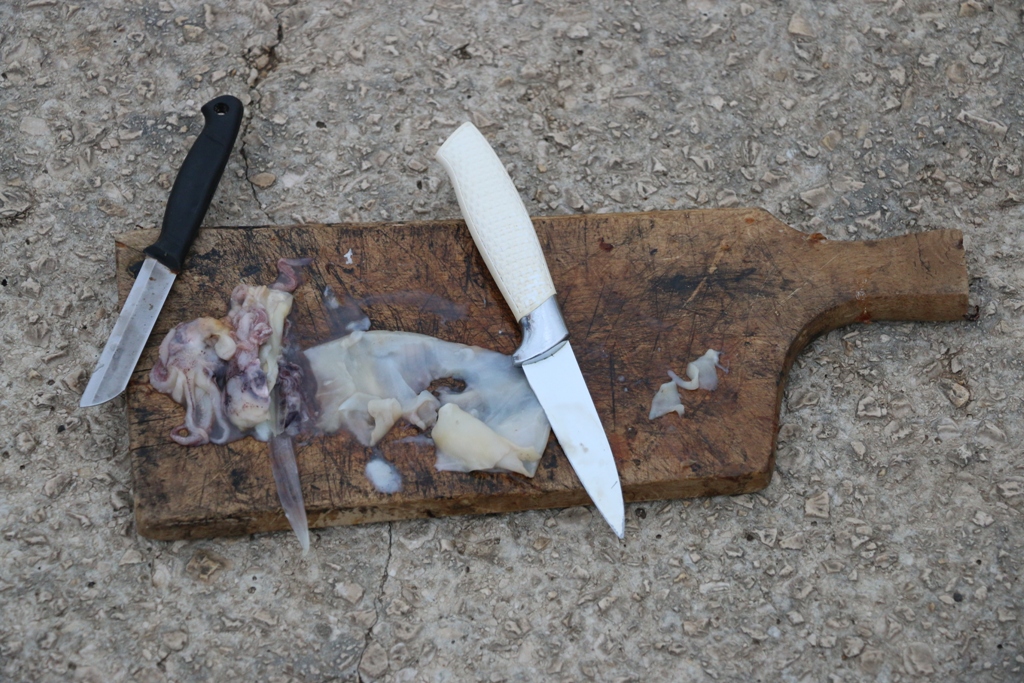 Mladi virski šampioni u udičarenju u emisiji HRT-a “More” Mladi virski šampioni u udičarenju u emisiji HRT-a “More”