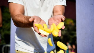 Craft Bbeer Festival i Sajam inovacija u sklopu Taste & Travel festivala 2016. Craft Bbeer Festival i Sajam inovacija u sklopu Taste & Travel festivala 2016.