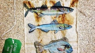 Iskorištene vrećice od čaja pretvara u prava umjetnička djela