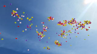 Otvorena 2. Vrtna izložba “Cvijet Zadra”. Foto: Mladen Malik