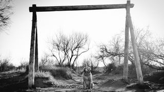 Crno bijela bajka na Kraljičinoj plaži, foto: Iva Perinčić