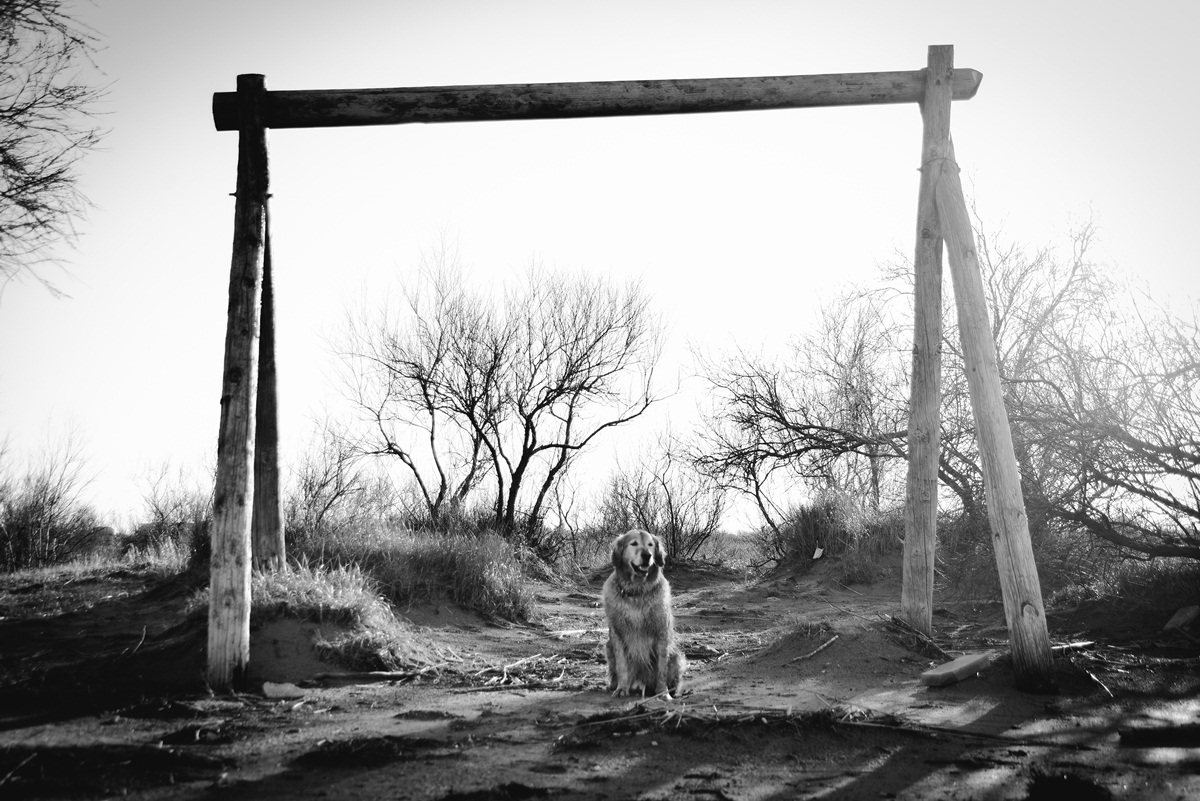 Crno bijela bajka na Kraljičinoj plaži, foto: Iva Perinčić