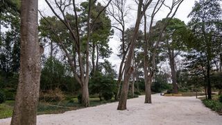 Đir po Perivoju Vladimira Nazora