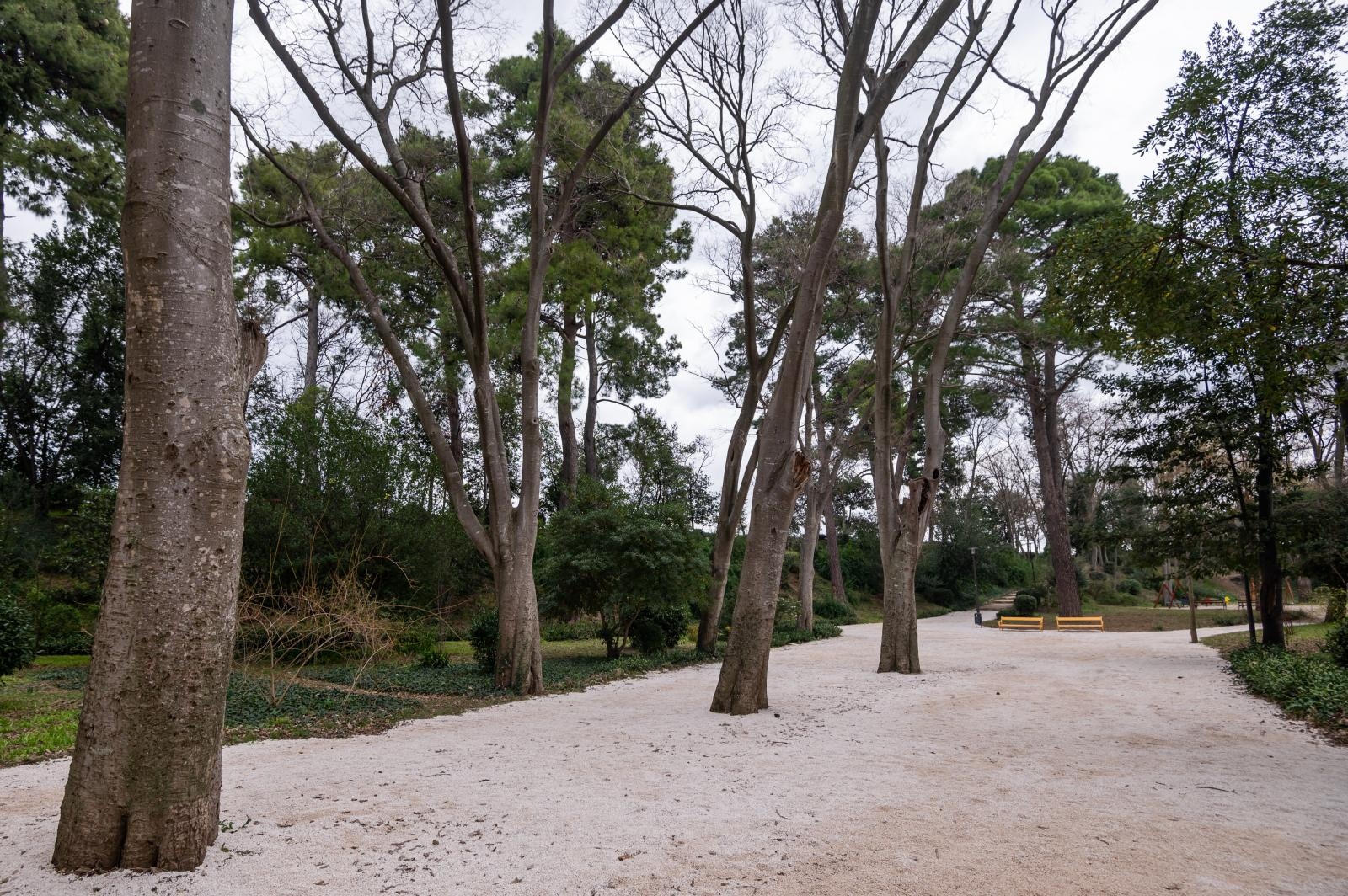 Đir po Perivoju Vladimira Nazora