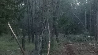 Park šuma Musapstan zagađena raznim otpadom Park šuma Musapstan zagađena raznim otpadom