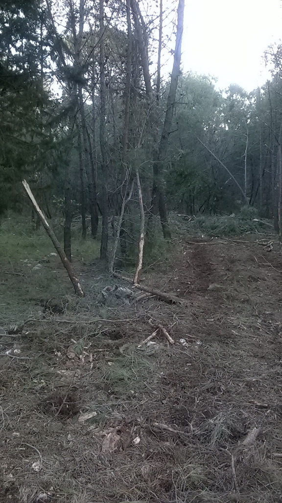 Park šuma Musapstan zagađena raznim otpadom Park šuma Musapstan zagađena raznim otpadom