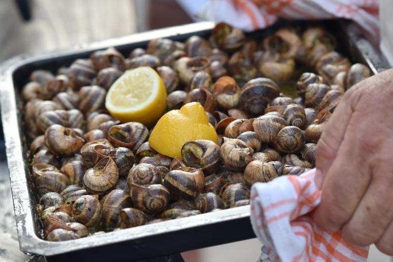 U sklopu Benkovackog kulturnog ljeta Grad Benkovac i Turisticka zajednica Grada Benkovca vec cetvrtu godinu za redom organiziraju manifestaciju Puzevim korakom. Radi se o gastro manifestaciji pripreme i degustacije puzeva. Posjetitelji su imali prilike d U sklopu Benkovackog kulturnog ljeta Grad Benkovac i Turisticka zajednica Grada Benkovca vec cetvrtu godinu za redom organiziraju manifestaciju Puzevim korakom. Radi se o gastro manifestaciji pripreme i degustacije puzeva. Posjetitelji su imali prilike d