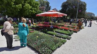 Svečano otvorena 2. Vrtna izložba “Cvijet Zadra” u organizaciji tvrtke Nasadi d.o.o. Foto: Dino Stanin/PIXSELL