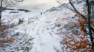 Đir do vrha Zečjak na sjevernom Velebitu, Foto: Leo Banić