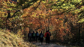 Paklenica: Boje jeseni, Foto: Mladen Radolovic Mrlja