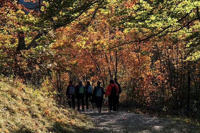 Paklenica: Boje jeseni, Foto: Mladen Radolovic Mrlja