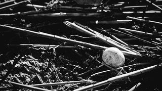 Crno bijela bajka na Kraljičinoj plaži, foto: Iva Perinčić