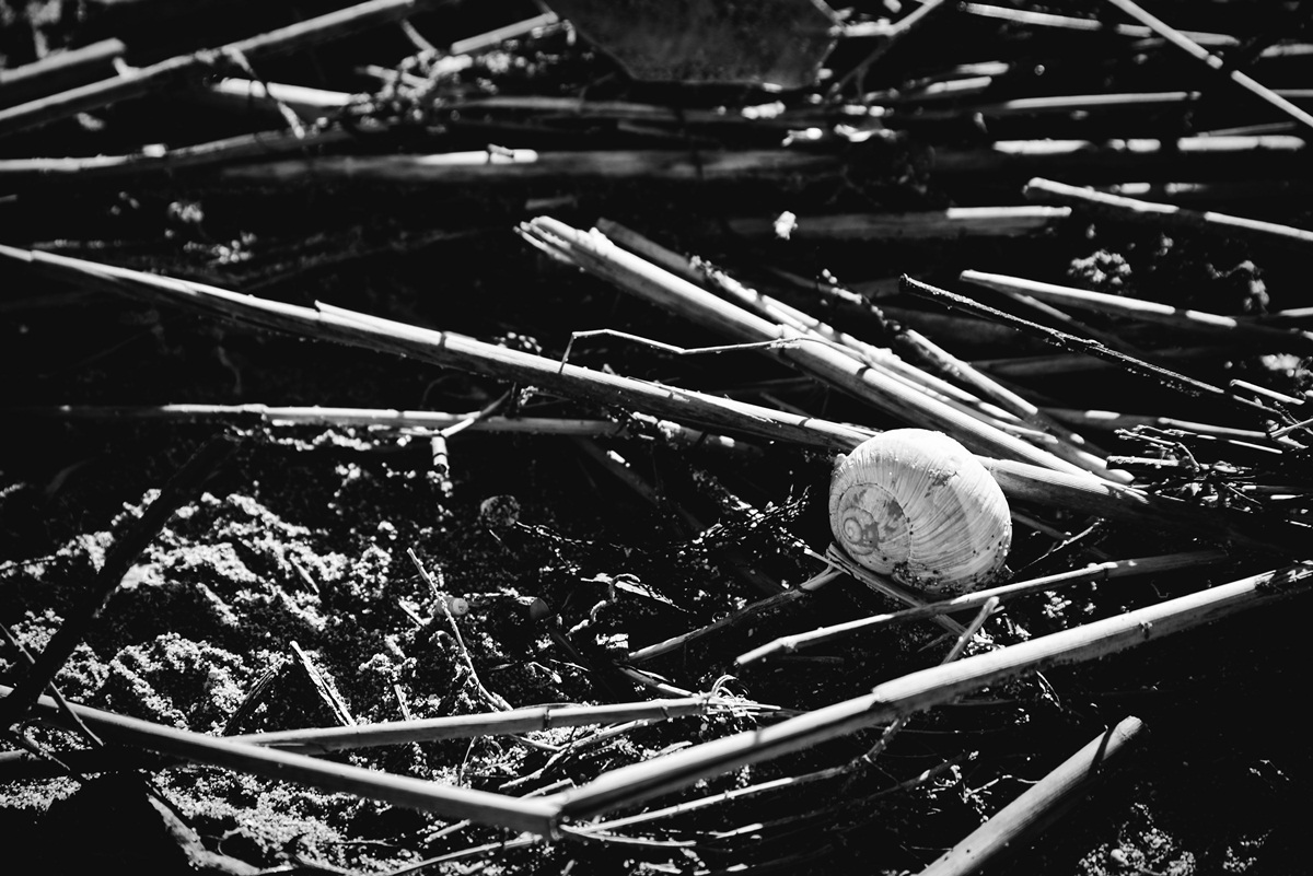 Crno bijela bajka na Kraljičinoj plaži, foto: Iva Perinčić