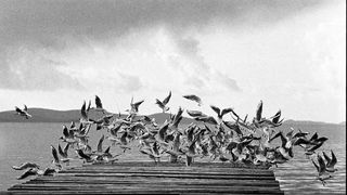 Izložba fotografija Željka Mršića “Rani Radovi”