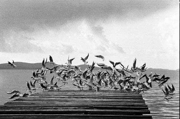 Izložba fotografija Željka Mršića “Rani Radovi”