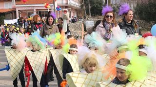 Virski Karnevalić 2017.