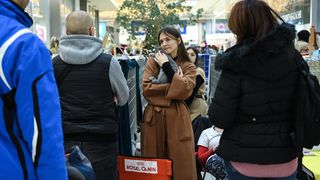 Međunarodna izložba mačaka