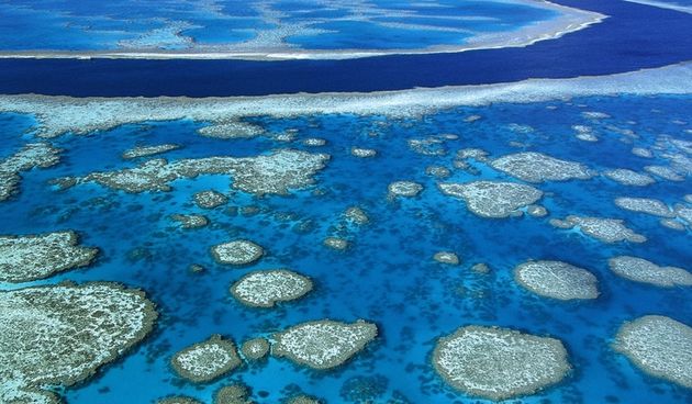 Veliki australski koraljni greben. Foto: Wikipedia