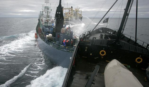 Sudar brodova, foto-marineinsight.com