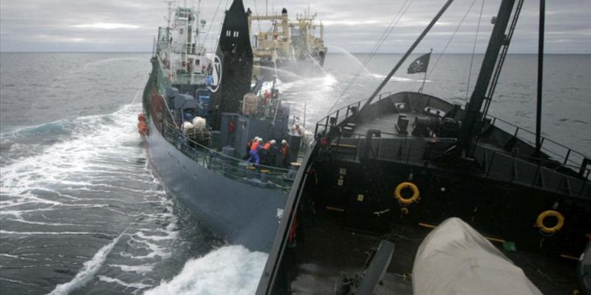 Sudar brodova, foto-marineinsight.com Sudar brodova, foto-marineinsight.com