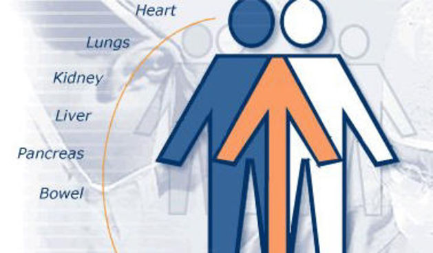 Image 1202147 (auto)